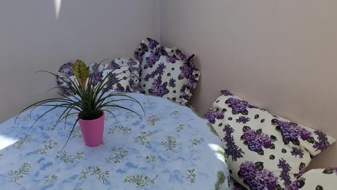 Mini Apartment Petra - Rooms Purple & Green With Kitchen And Garden Dubrovnik Eksteriør billede